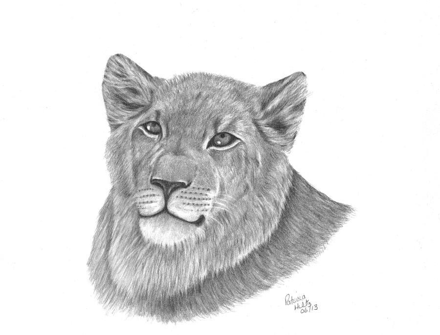Baby King Drawing by Patricia Hiltz