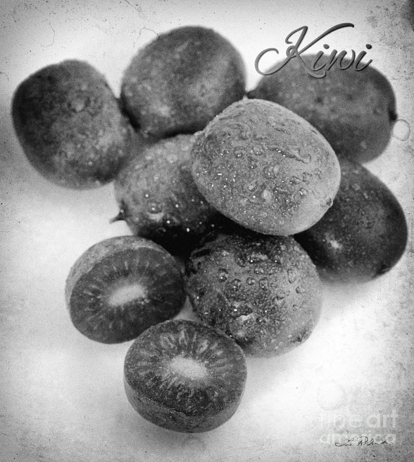 Black And White Photograph - Baby Kiwi with Blake and White Text Distressed by Iris Richardson