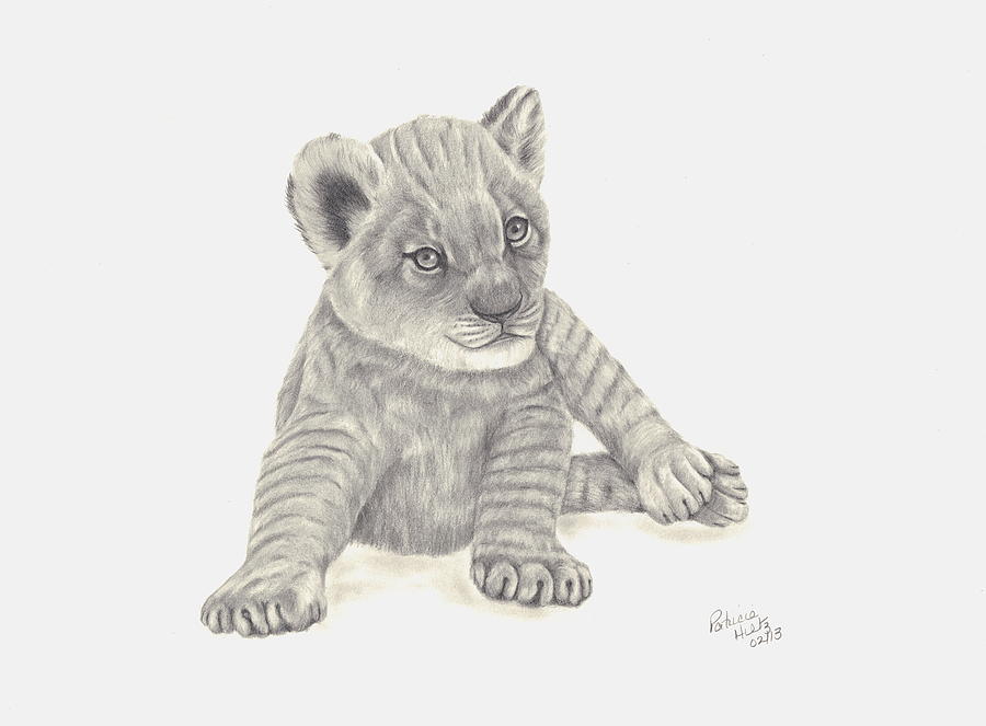 Baby Lion Drawing by Patricia Hiltz