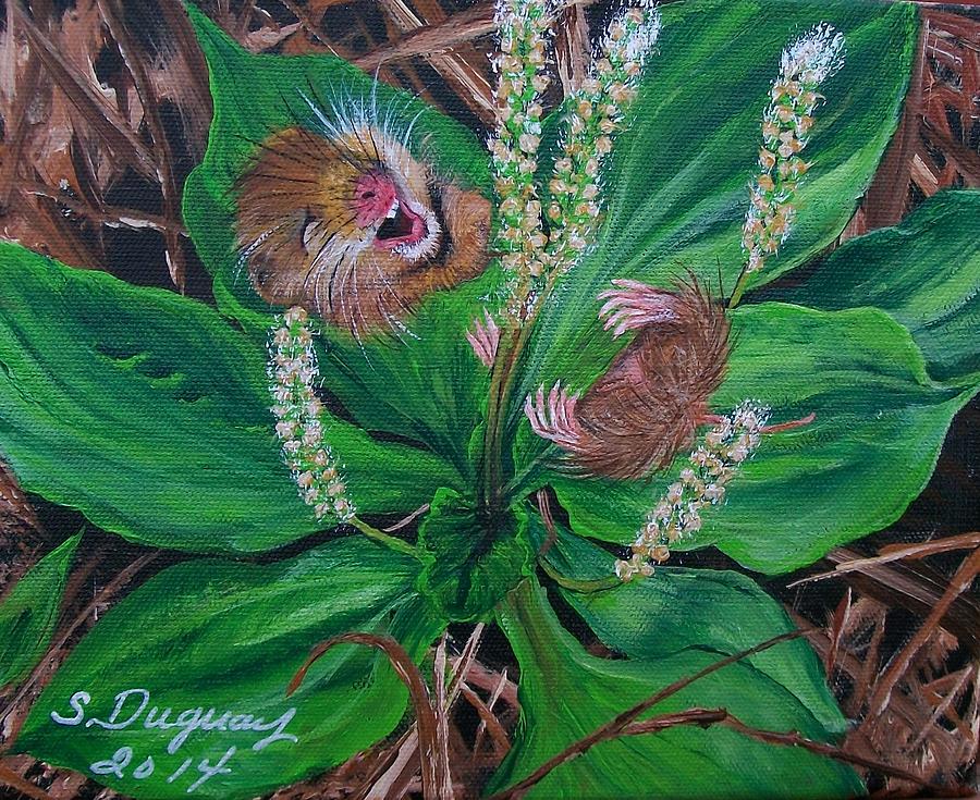 Baby   Molly  Painting by Sharon Duguay