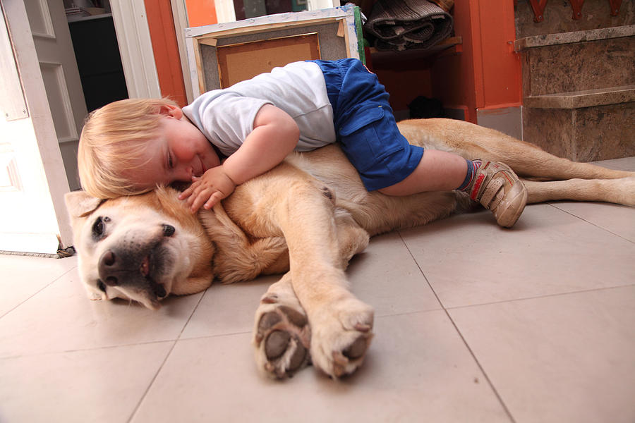 Baby on a dog, cares about dog Photograph by Aitor Diago