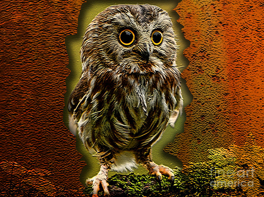 Baby Owl Mixed Media by Marvin Blaine