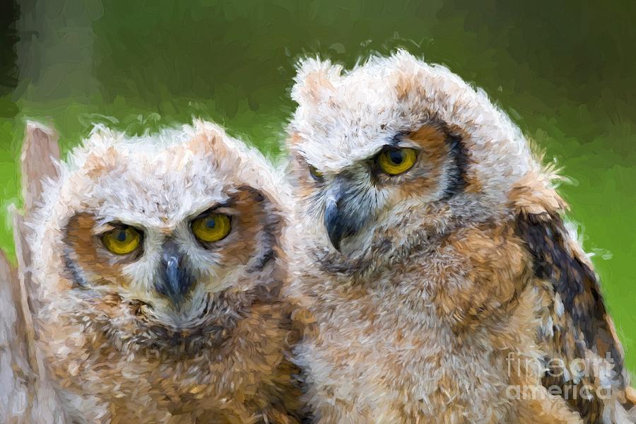 Baby Owls Photograph by Les Palenik