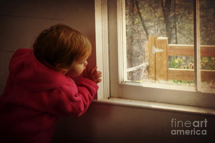 Winter Photograph - Baby Peeks Out by Valerie Reeves