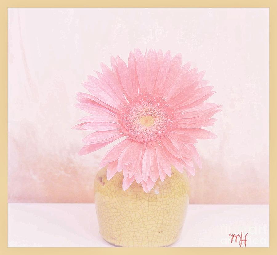 Daisy Photograph - Baby Pink Daisy in Yellow Vase by Marsha Heiken