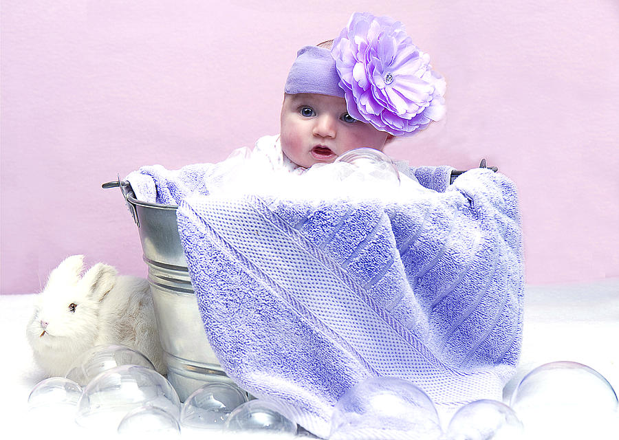 Baby Purple  Photograph by Trudy Wilkerson