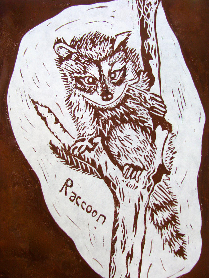 Baby Raccoon Drawing by Linda Williams