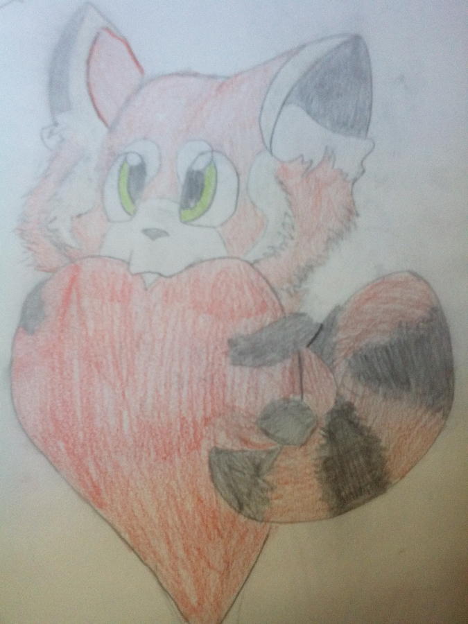 Baby Red Panda Drawing By Katelyn Biles Fine Art America