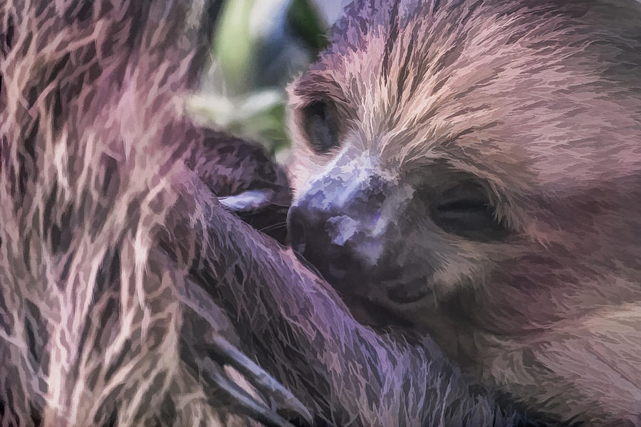 Baby Sloth Digital Art by Ray Shiu