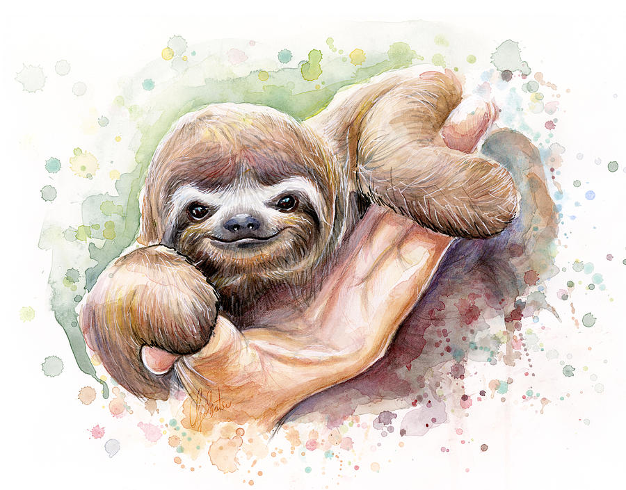 Animal Painting - Baby Sloth Watercolor by Olga Shvartsur