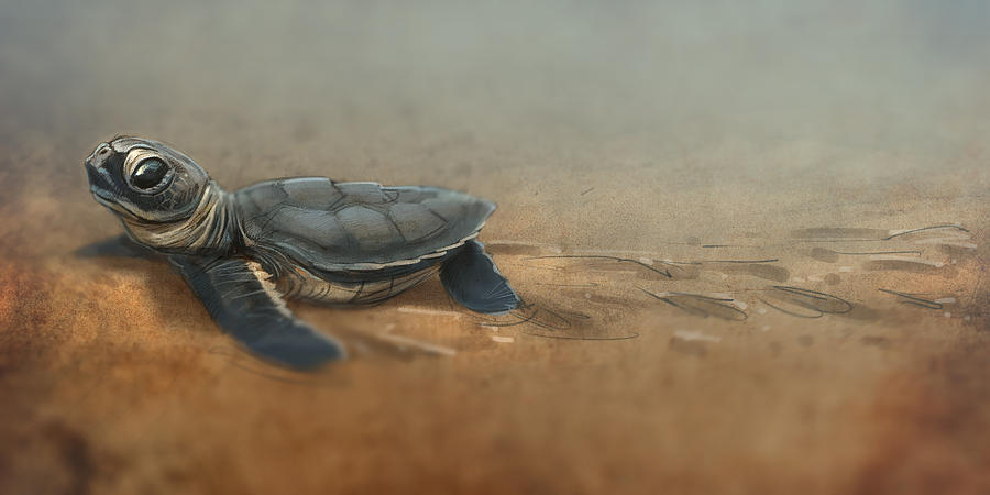 Sea Turtle Digital Art - Baby Turtle by Aaron Blaise