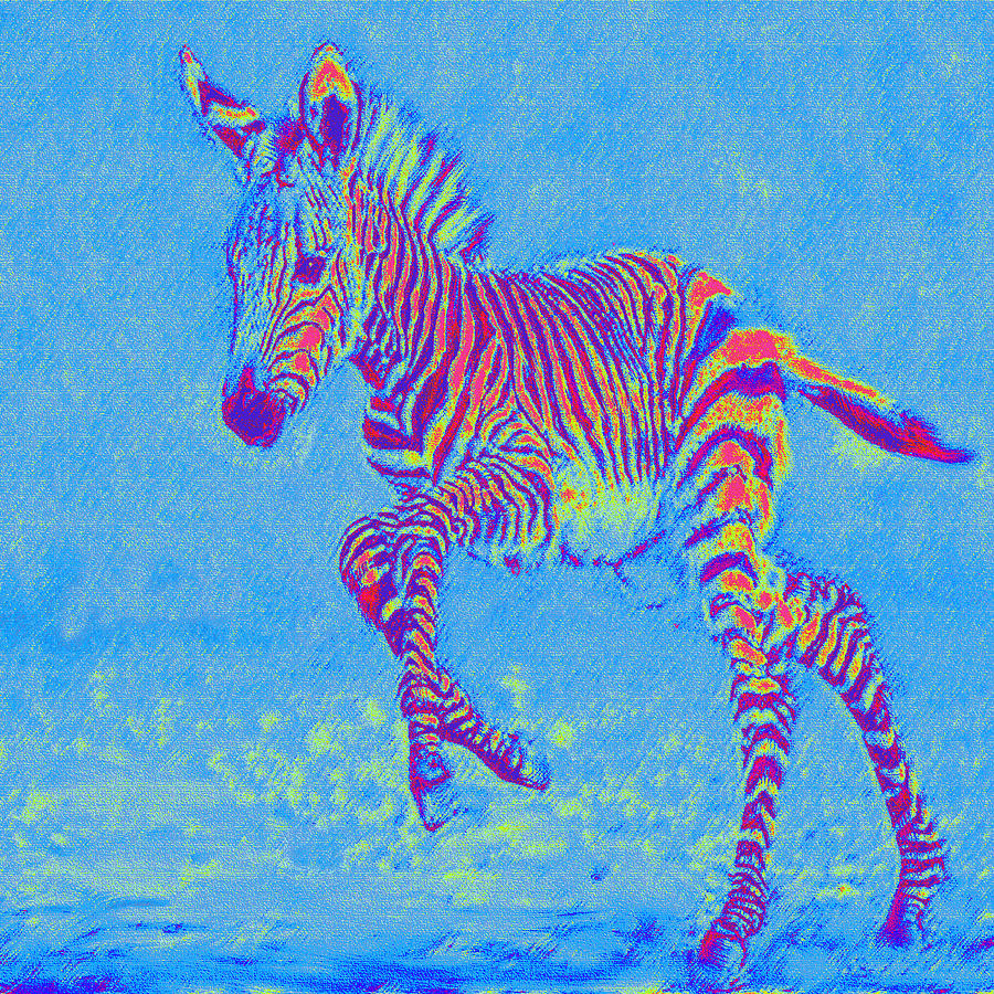 Baby Zebra In Motion Digital Art by Jane Schnetlage