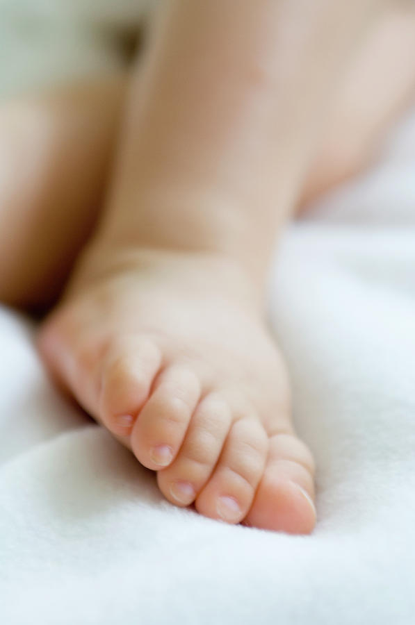 Baby's feet - Stock Image - F003/1502 - Science Photo Library