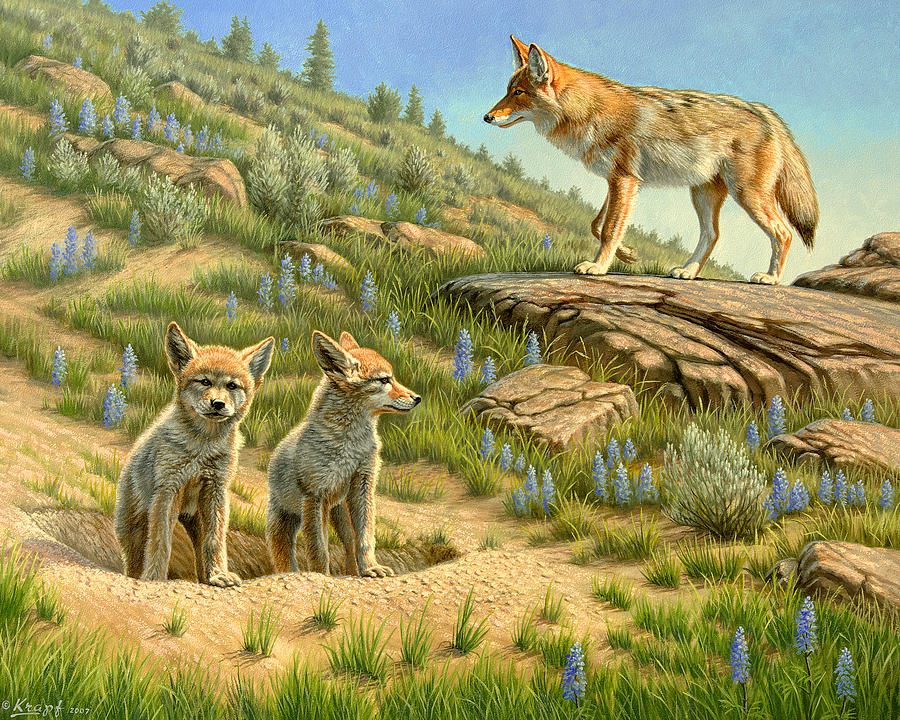 Wildlife Painting - Babysitter  -  coyotes by Paul Krapf