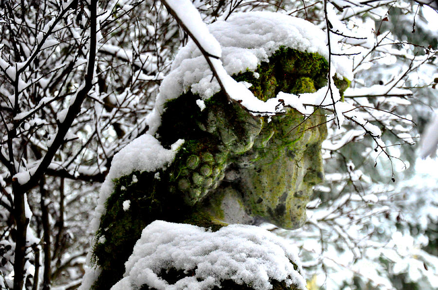 Bacchus Statue Under Snow Photograph by Tatyana Searcy