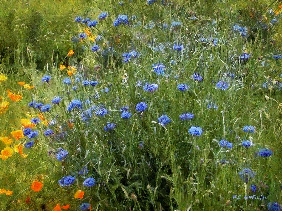 Summer Painting - Bachelors Meadow by RC DeWinter