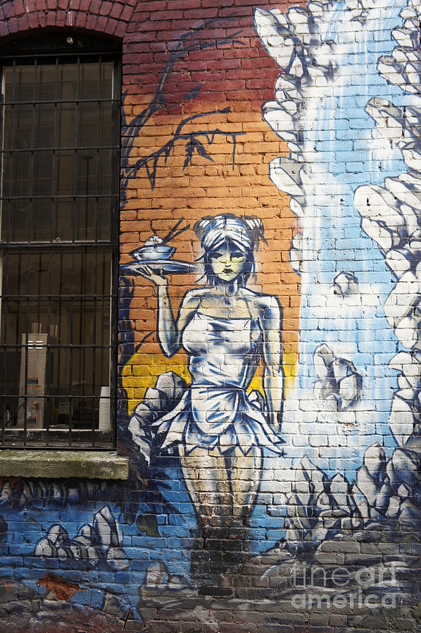 Back Alley Mural Photograph by John  Mitchell
