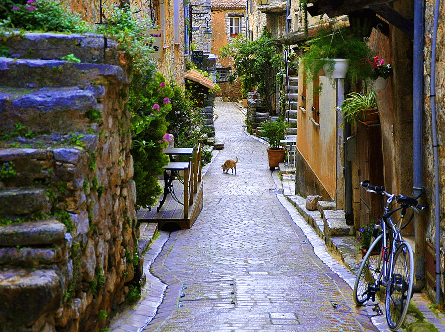 Back Alley, Provence Photograph by Images By Martin Pinker
