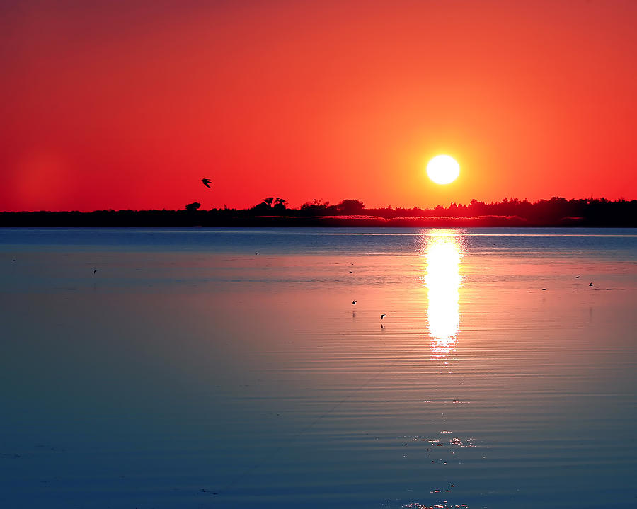Sunset Photograph - Back Bay Sunset I by Pete Federico Sunset Photograph - Back Bay Sunset I by Pete Federico