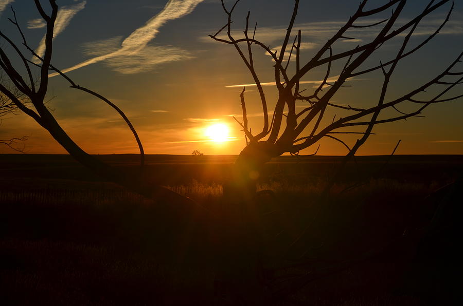 Back Forty Sunrise Photograph by Clarice Lakota