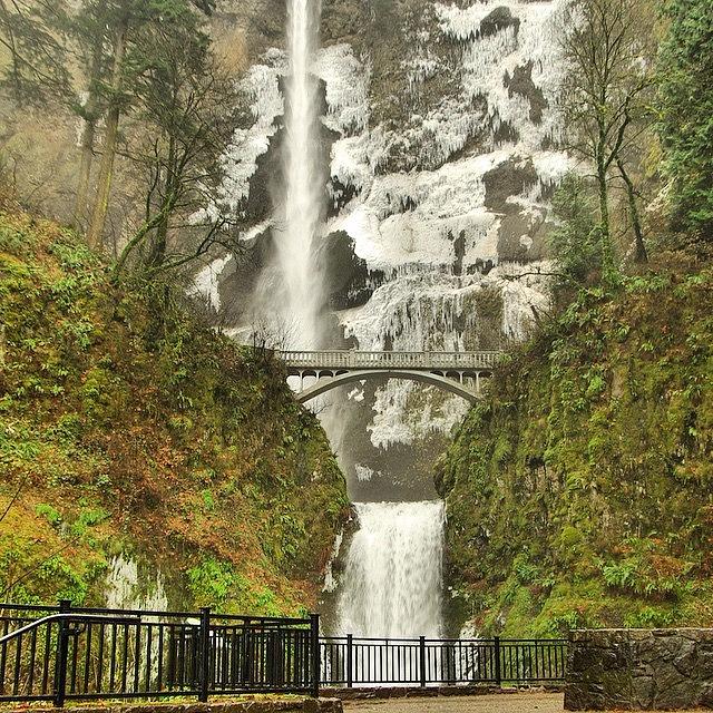 Portland Photograph - Back In The Columbia River Gorge This by Mike Warner