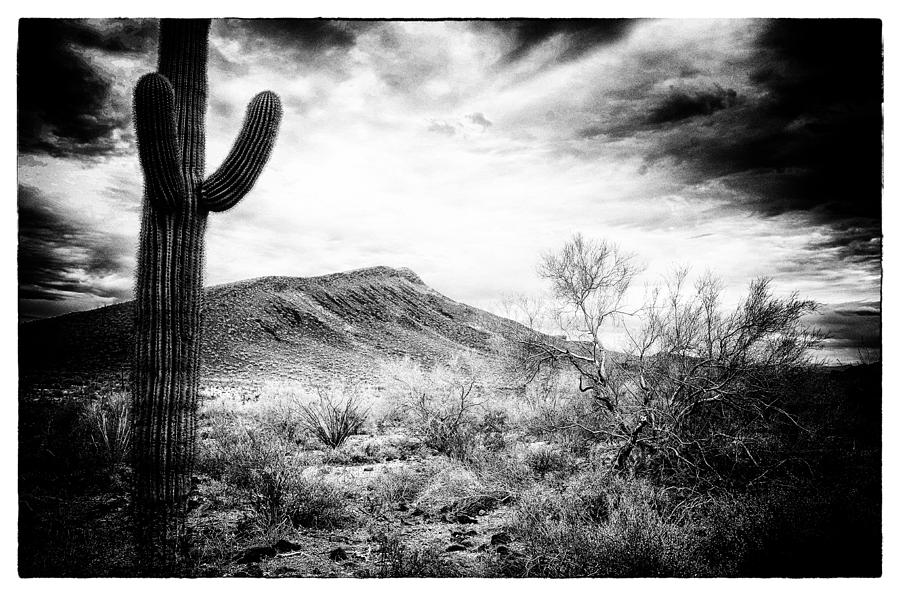 Back in Time Photograph by Nancy Boaer - Fine Art America