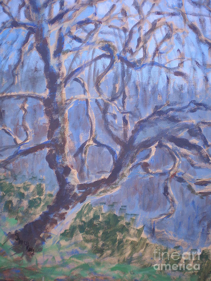 Back-Lit Tree at Washington Park Painting by Suzanne McKay