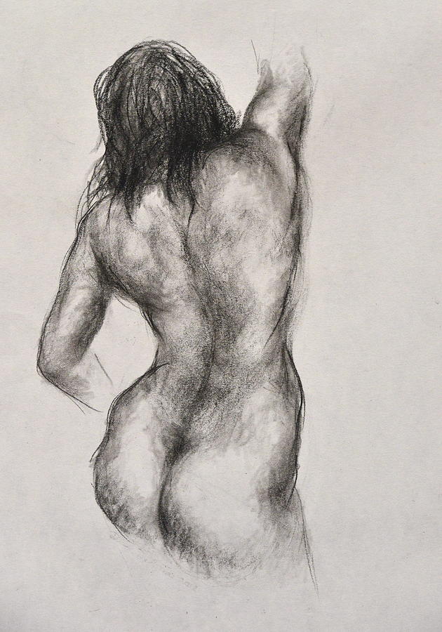 Back Nude #3 Drawing by  Diane DiMaria