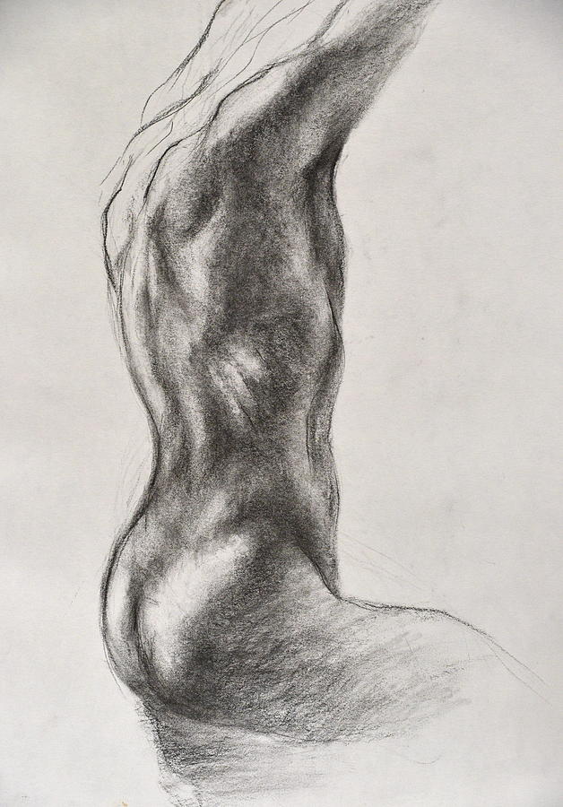 Back Nude #4 Drawing by Diane  DiMaria