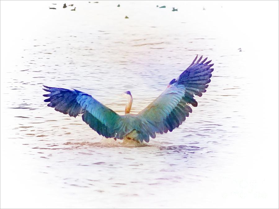 Back Of Blue Heron Photograph by John  Kolenberg