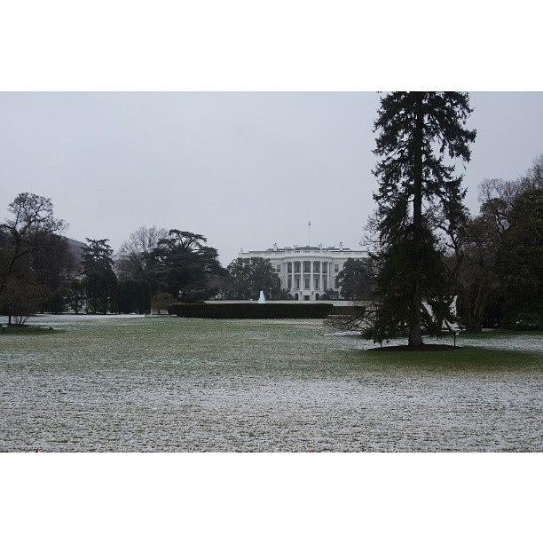 Nevershoutnever Photograph - Back Of The White House by Pedro E Cruz