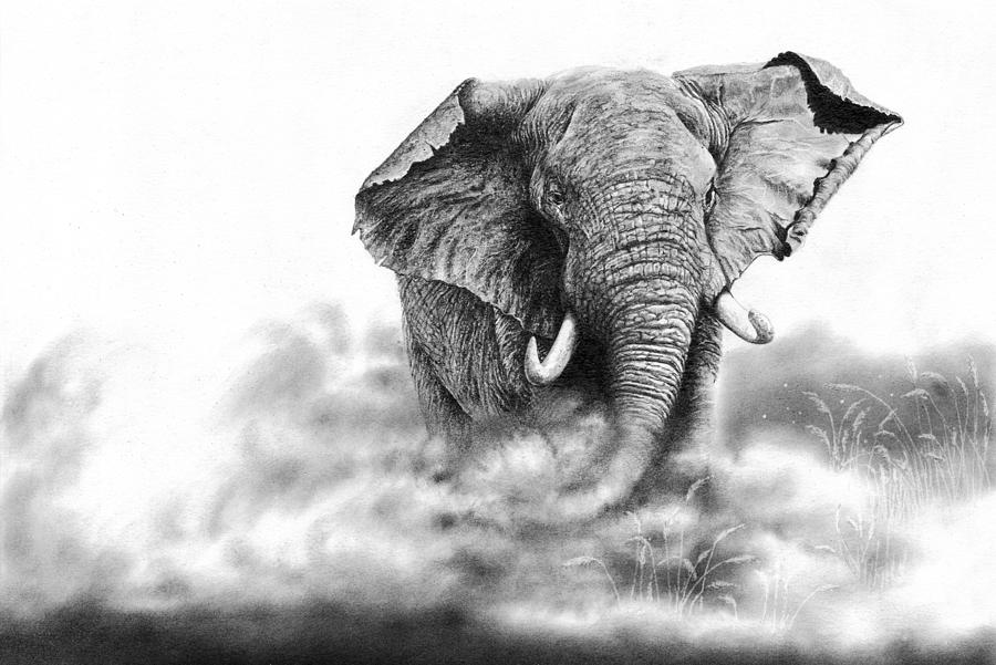 Wildlife Drawing - Back Off by Peter Williams