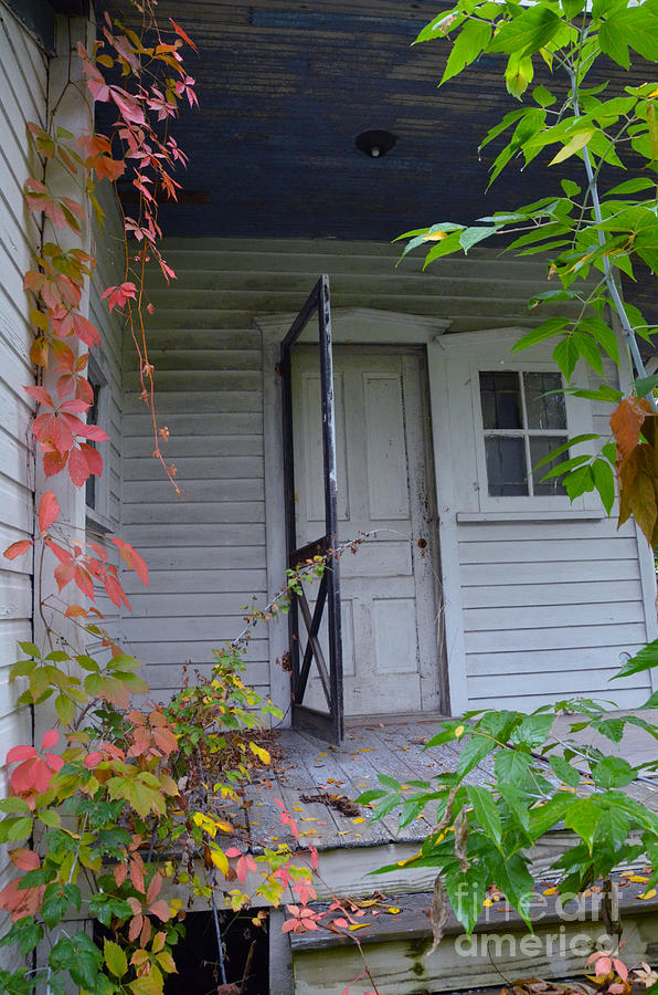 Architecture Photograph - Back Porch Door by Jill Battaglia