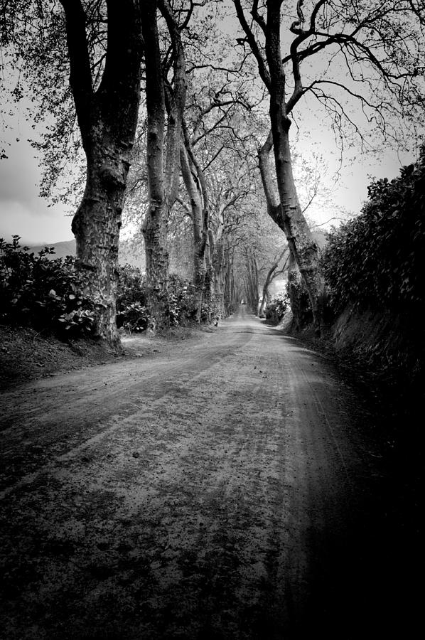 Back Road East Photograph by Joseph Amaral