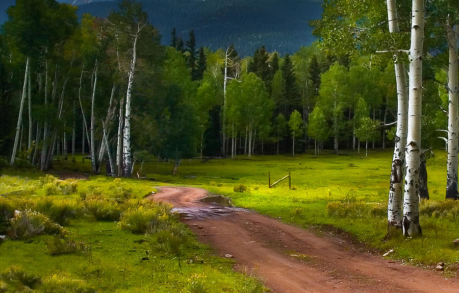 Mountains Photograph - Back road in the mountains by Mike Bennett Mountains Photograph - Back road in the mountains by Mike Bennett