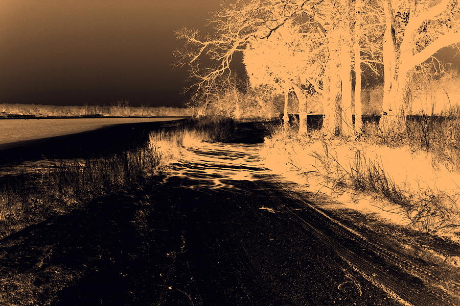 Landscape Photograph - Back Road by Mickey Harkins