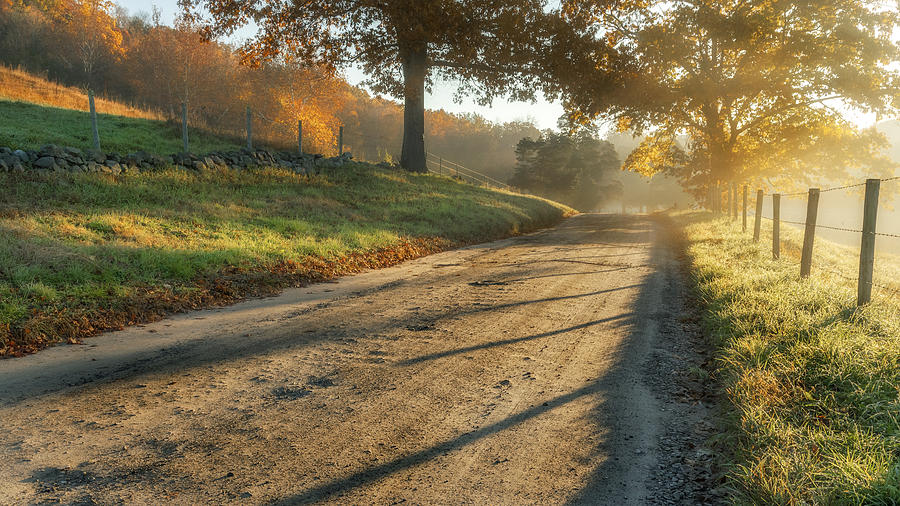 Fall Photograph - Back Road Morning by Bill Wakeley