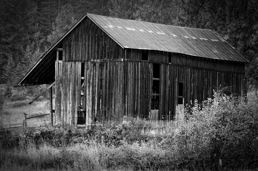 Back-roads Barn Photograph by Mary Timman