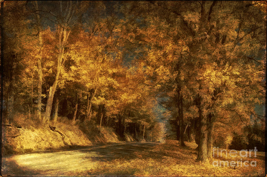 Fall Photograph - Back Roads by Lois Bryan