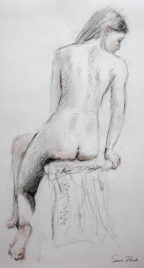 Back Seated Drawing by Sarah Parks