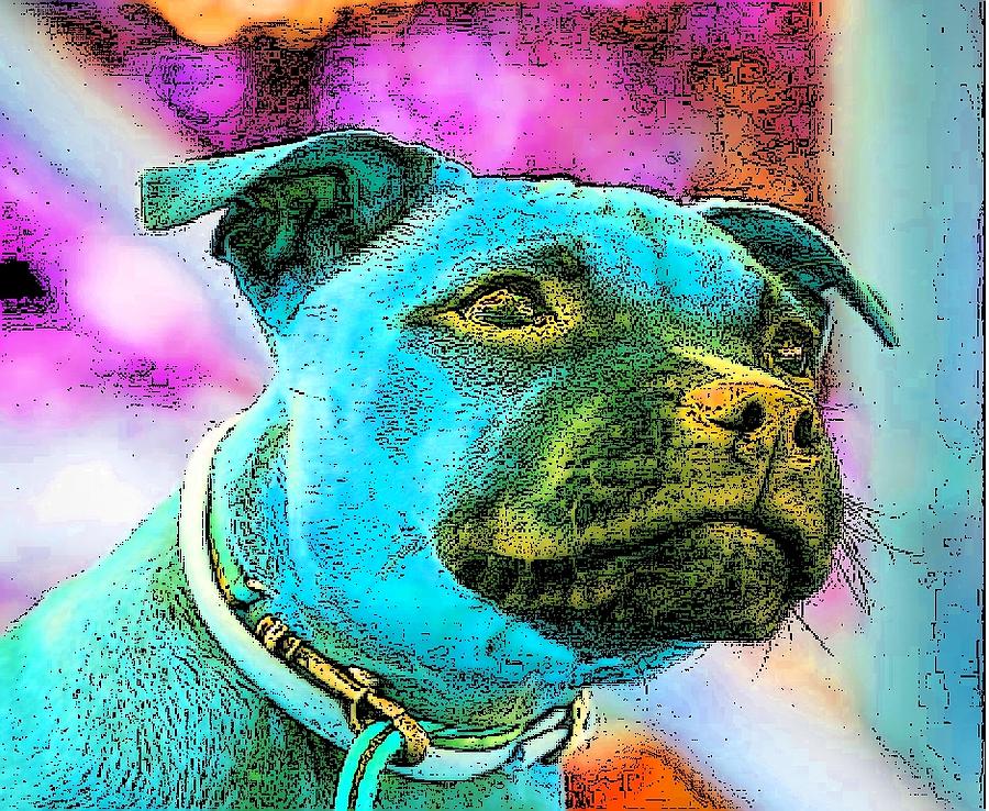 Dog Digital Art - Back To The Dog Future by Kathy Budd