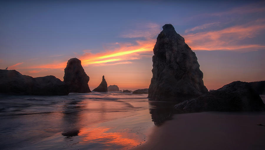 Back To The Hat - Bandon Oregon Photograph by Images By Steve Skinner Photography