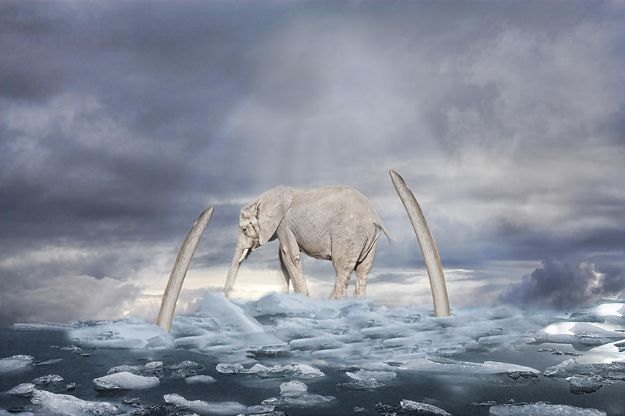 Elephant Digital Art - Back to the ice age by Angel Jesus De la Fuente
