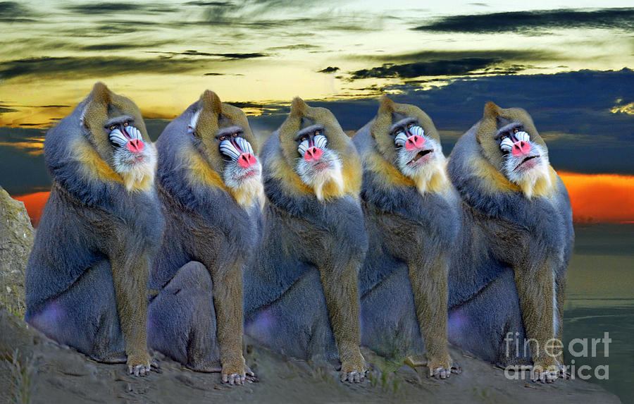 Sunset Photograph - Back Up Singers for Barbara Mandrill by Jim Fitzpatrick