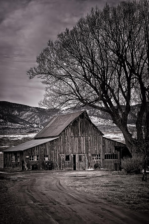 Barn Photograph - Back Yonder by Priscilla Burgers
