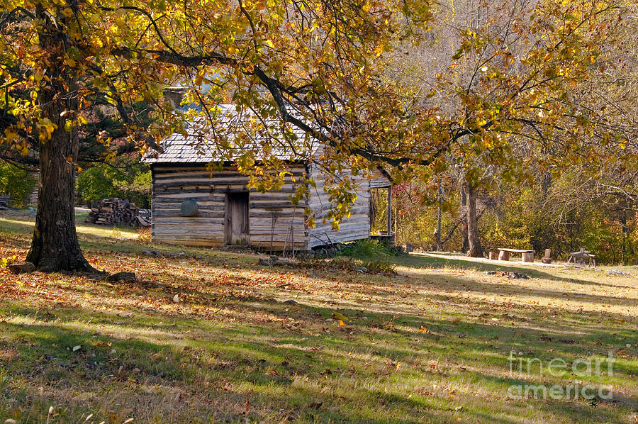 Backdoor Photograph by Randolph Fritz - Fine Art America