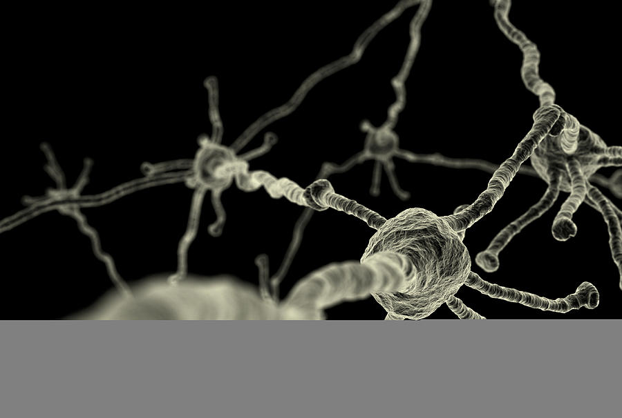 Background of microscopic neurons isolated on black Photograph by Gecko753