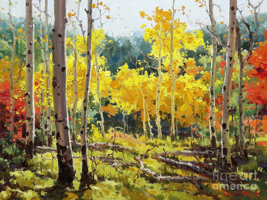 Backlit Aspen Grove  Painting by Gary Kim