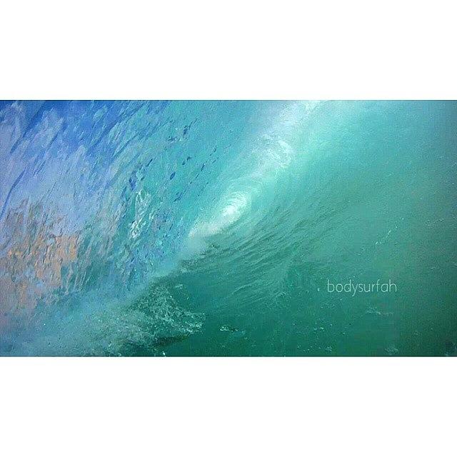 Gopro Photograph - Backlit Beauty
#gopro #iwouldtoo by Michael Gillespy