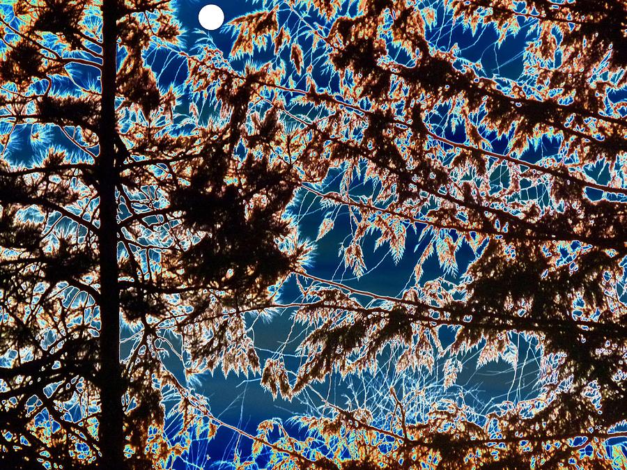 Backlit By A Full Moon Digital Art by Will Borden